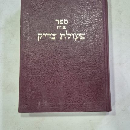 פעולת צדיק