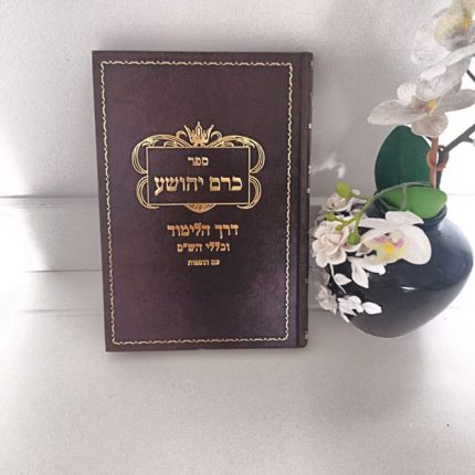 כרם יהושע ודרכי הש"ס